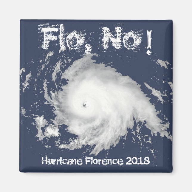 Flo, No! Hurricane Florence 2018 Magnet (Front)