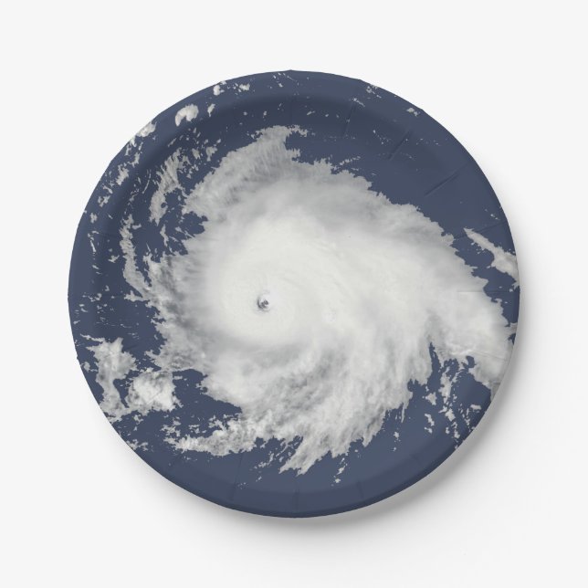 Flo, No! Hurricane Florence 2018 Paper Plate (Front)
