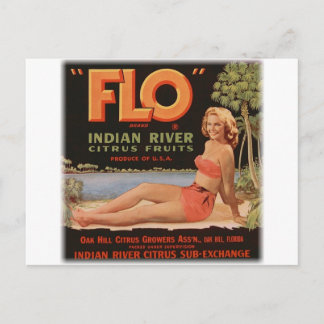 Flo Oranges Vintage Postcard