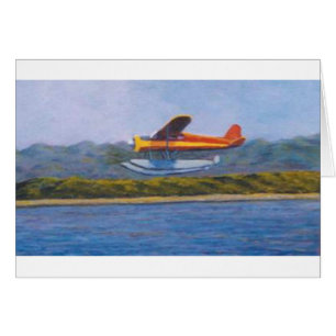 float plane