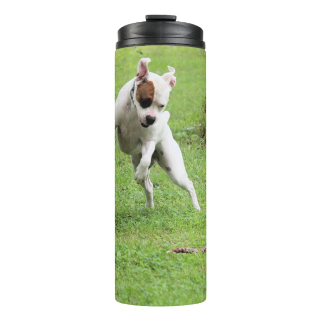 Float Thermal Tumbler (Front)