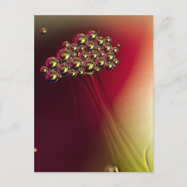 Floating Abstract Bubbles Colourful Background Postcard (Front)