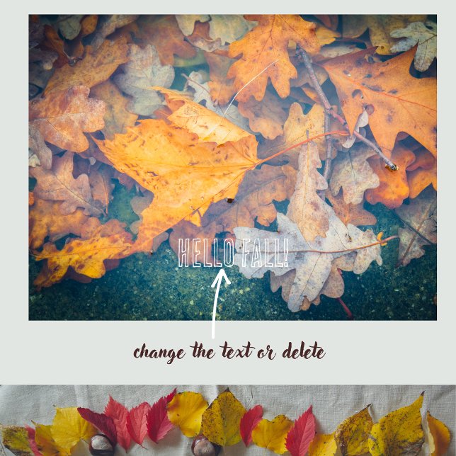 Floating autumn leaves  poster (Creator Uploaded)