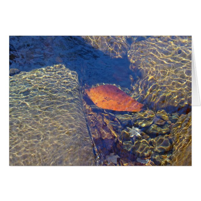 Floating By (Front Horizontal)