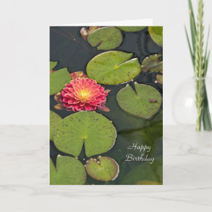 Floating Dahlia Card