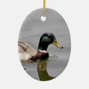 Floating Duck Ceramic Tree Decoration