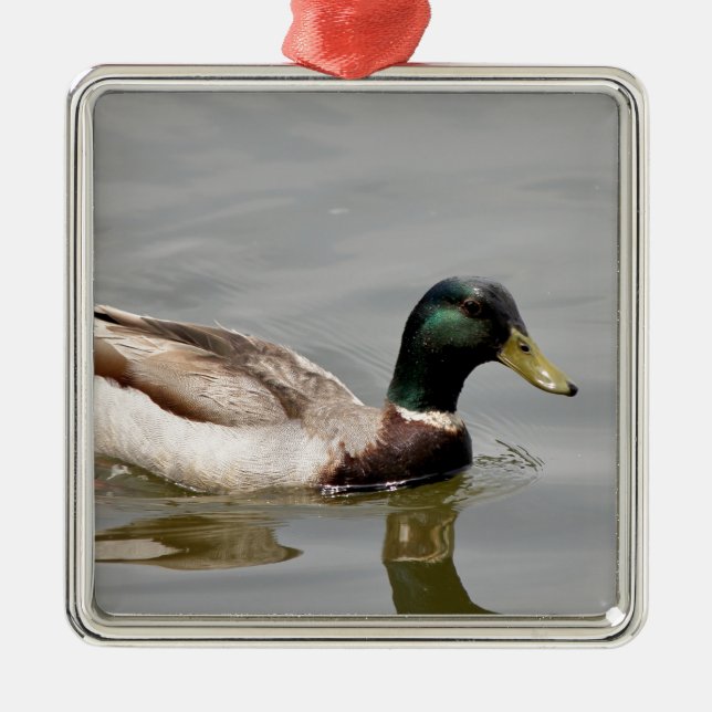 Floating Duck Metal Tree Decoration (Front)