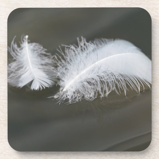 Floating Goose Feathers Coaster (Front)