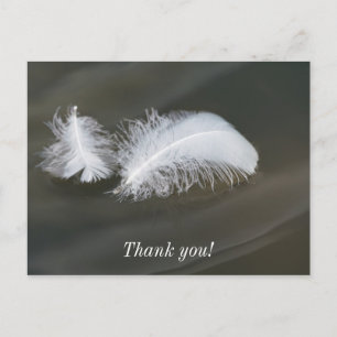Floating Goose Feathers Postcard