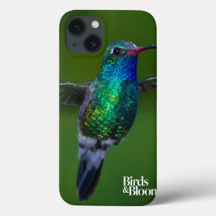 Floating Hummingbird iPhone 13 Case