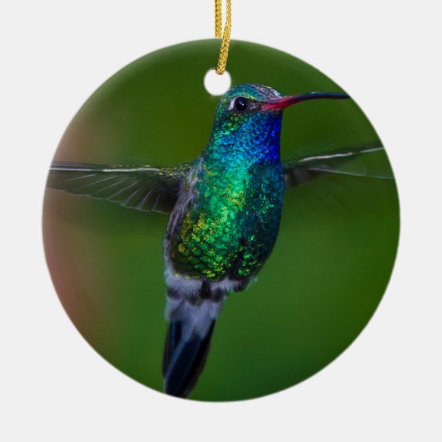 Floating Hummingbird Ceramic Ornament (Front)