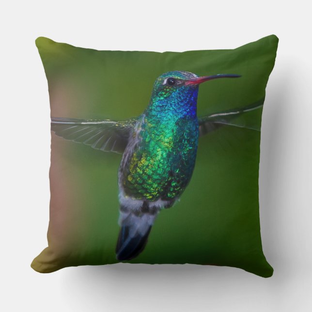 Floating Hummingbird Cushion (Front)