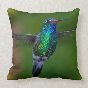 Floating Hummingbird Cushion