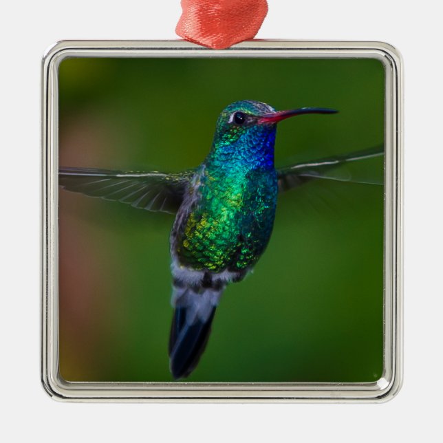 Floating Hummingbird Metal Ornament (Front)