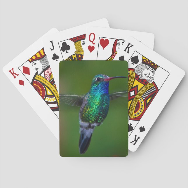 Floating Hummingbird Playing Cards (Back)
