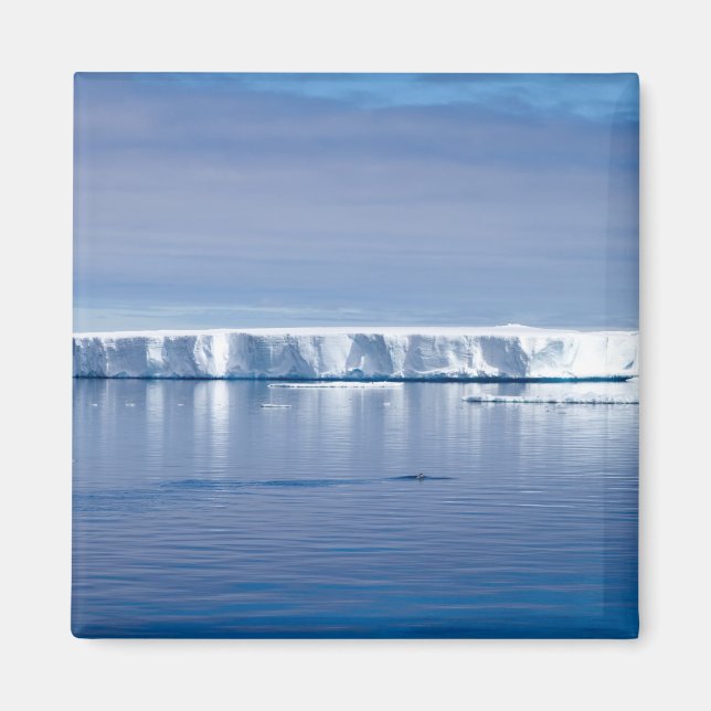 Floating iceberg magnet (Front)