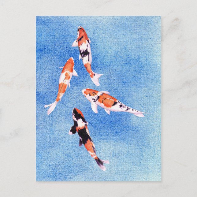 Floating Koi blue Postcard (Front)