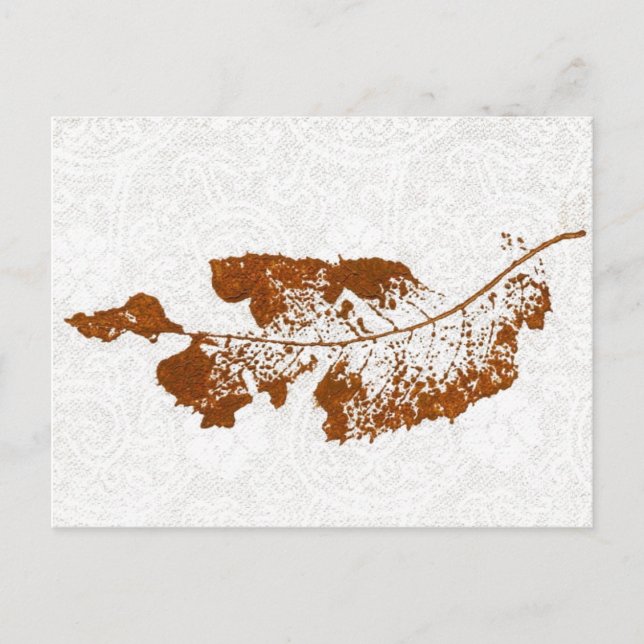 "Floating Leaf #1" Country Roads Postcard (Front)