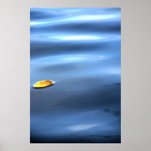 Floating Leaf On Water # 111
