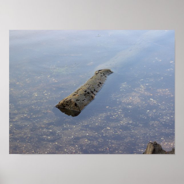 Floating Log Photo Poster (Front)