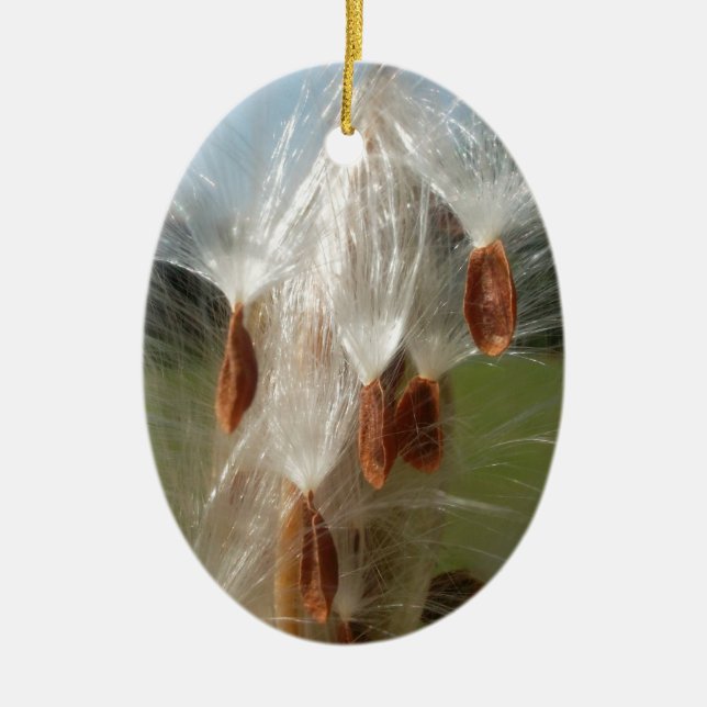 Floating Milkweed Seeds Art Print/Graphic Ceramic Ornament (Front)
