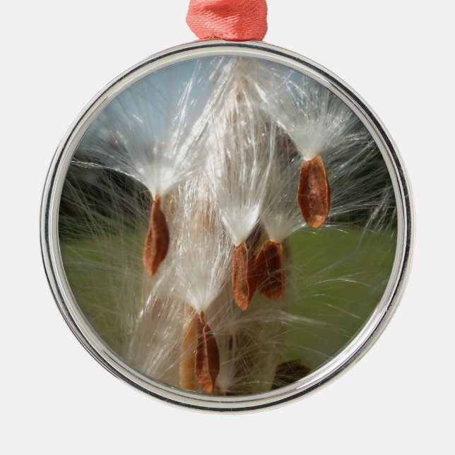 Floating Milkweed Seeds Art Print/Graphic Metal Ornament (Front)