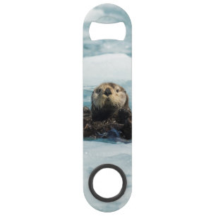 Floating Otter