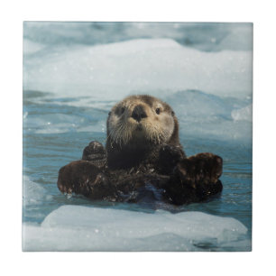Floating Otter Ceramic Tile