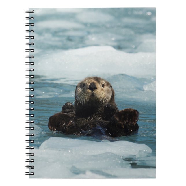 Floating Otter Notebook (Front)