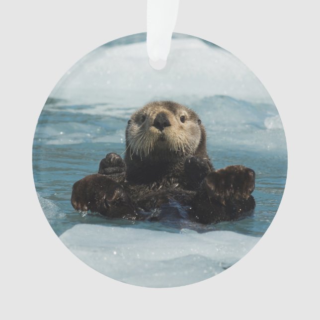 Floating Otter Ornament (Front)