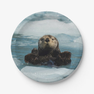Floating Otter Paper Plate