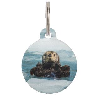 Floating Otter Pet Tag