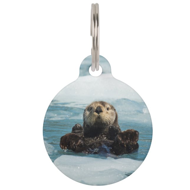 Floating Otter Pet Tag (Front)