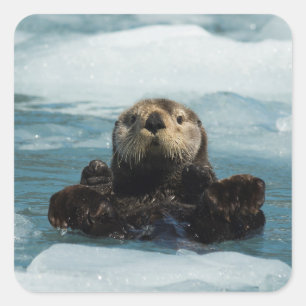 Floating Otter Square Sticker