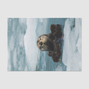 Floating Otter Tissue Paper