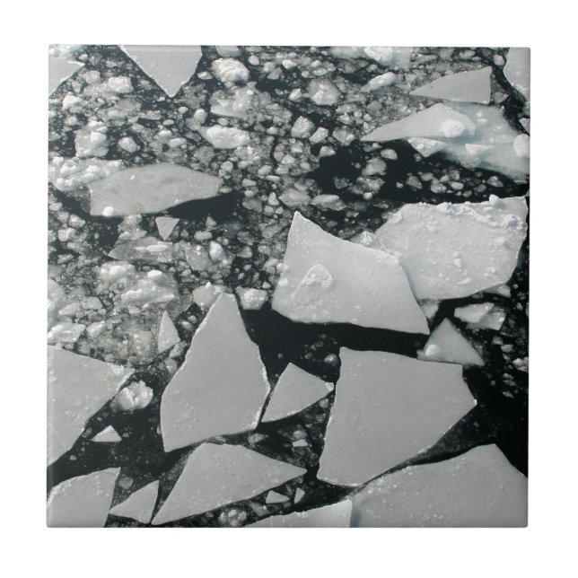 Floating Pieces of Broken Arctic Ice Tile (Front)
