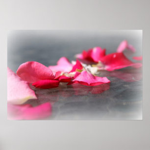 Floating Pink Rose Petals on Water Poster