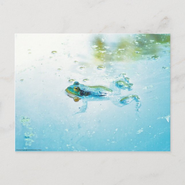 Floating Postcard (Front)