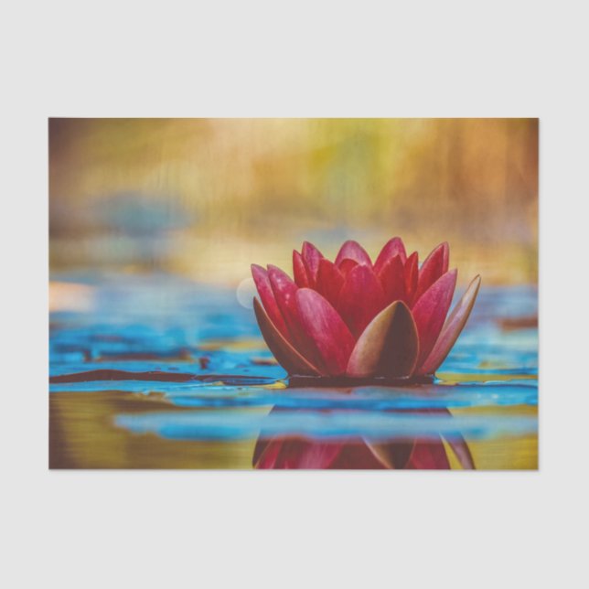 Floating Red Lotus Tissue  Paper (Front)