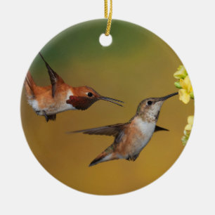 Floating Rufous Hummingbird Ceramic Ornament