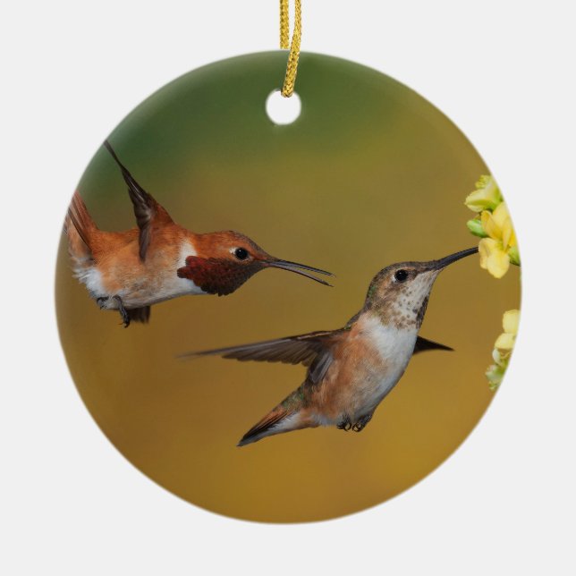 Floating Rufous Hummingbird Ceramic Ornament (Front)
