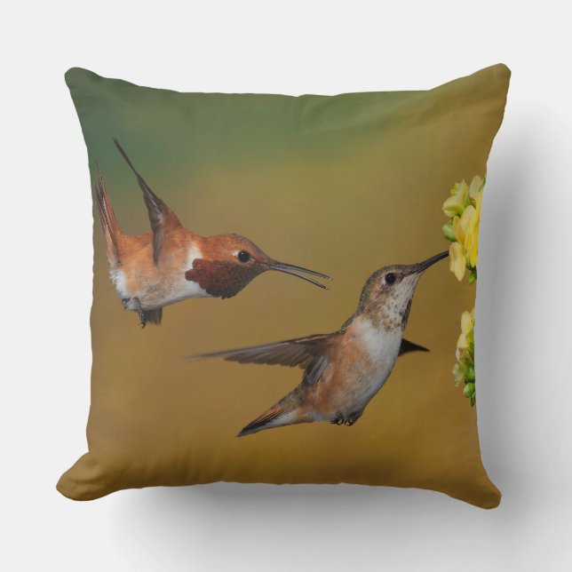 Floating Rufous Hummingbird Cushion (Front)
