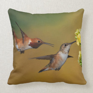 Floating Rufous Hummingbird Cushion