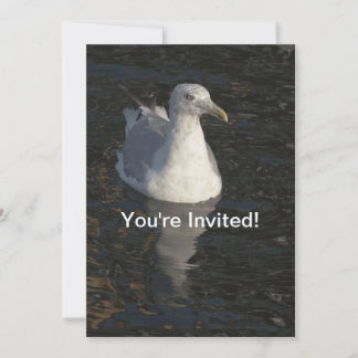 Floating Seagull Invitation