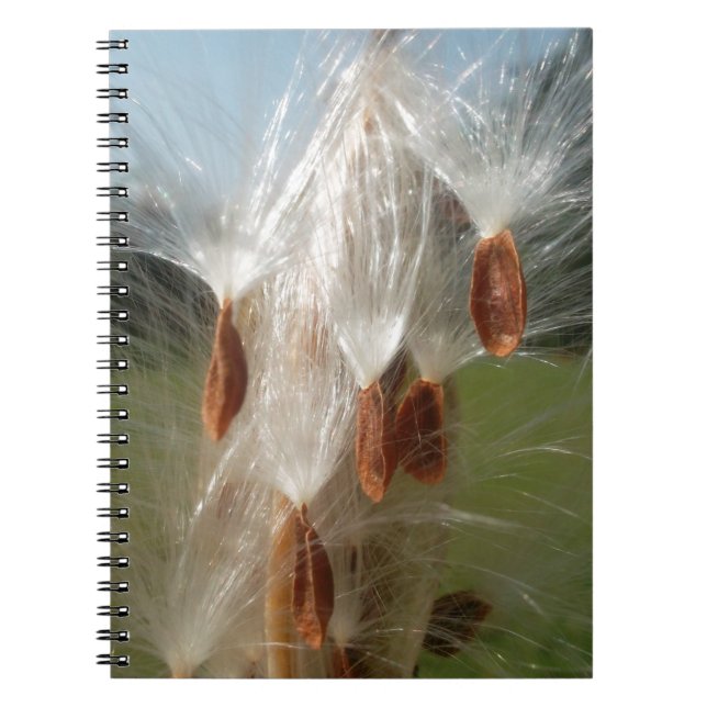 Floating Seeds: Milkweed Abstract Notebook (Front)