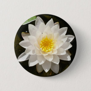 Floating White Waterlily Lotus 6 Cm Round Badge