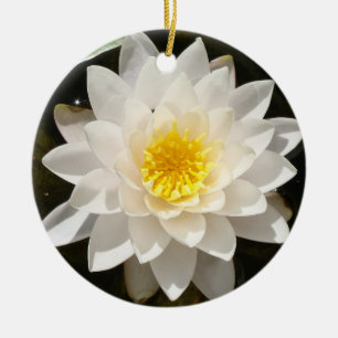 Floating White Waterlily Lotus Ceramic Ornament