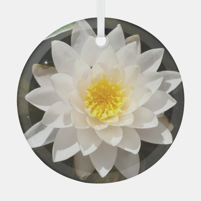 Floating White Waterlily Lotus  Glass Tree Decoration (Front)