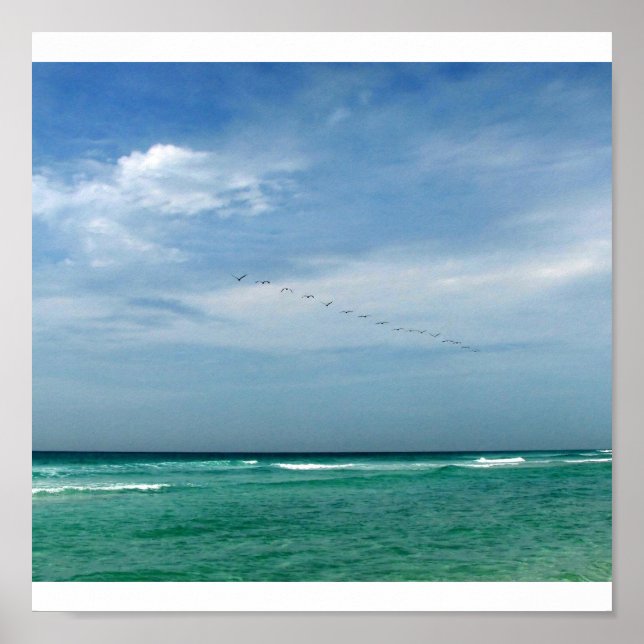 Flock in Flight - Destin, Florida Poster (Front)