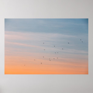 FLOCK OF BIRD AT THE BLUE AND ORANGE SKIES POSTER